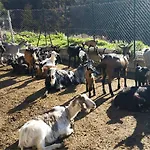 Farm stay La Pigna Corigliano Calabro