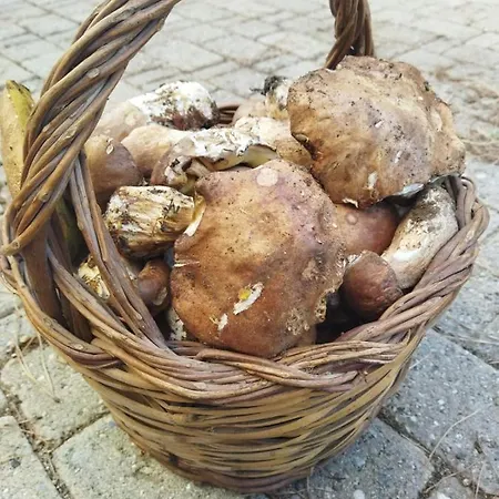 Séjour à la ferme La Pigna *