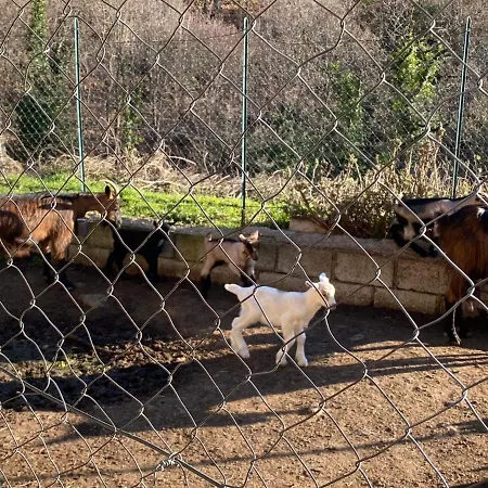 La Pigna Corigliano Calabro