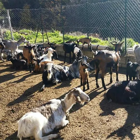 农家乐 La Pigna 科里利亚诺·卡拉布罗