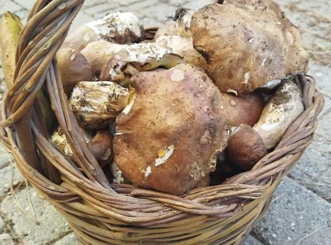 Vakantieboerderij La Pigna *