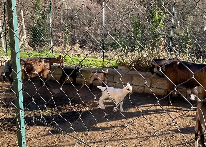 La Pigna Corigliano Calabro