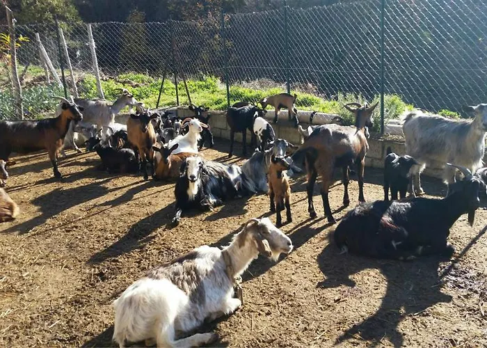 Vakantieboerderij La Pigna Corigliano Calabro